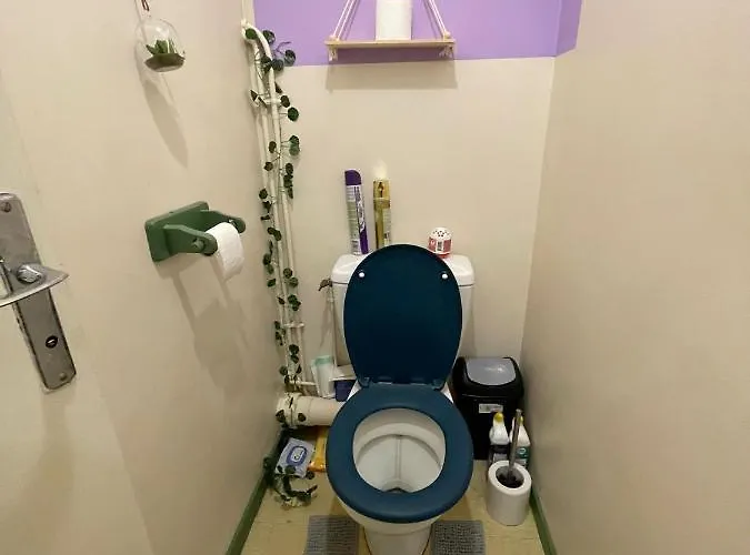 Privat bolig Privee Clermont-Ferrand